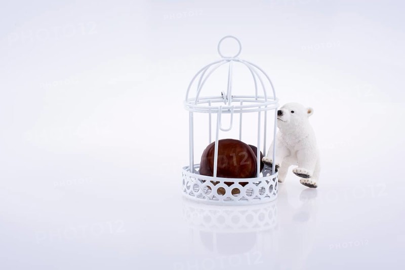 Little notebook placed in a red color bird house with metal bars