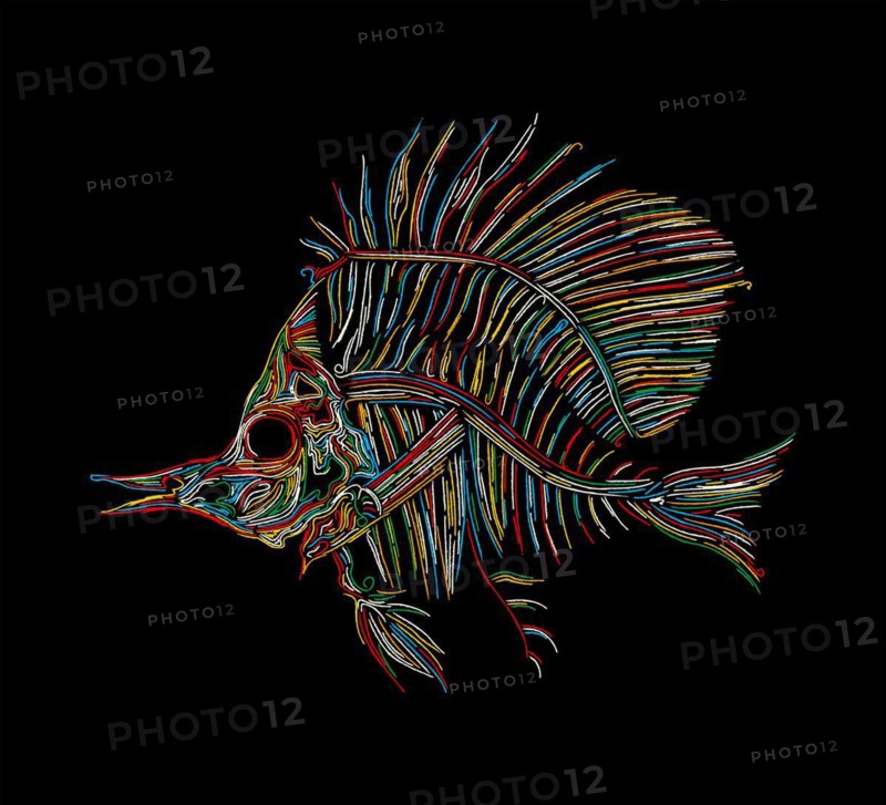 Fish skeleton graphic in colors