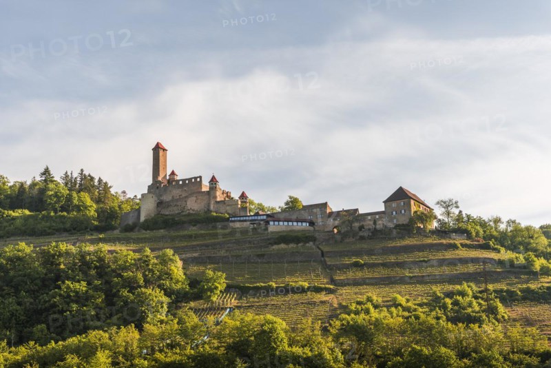 Hornberg Castle in the Neckar Valley