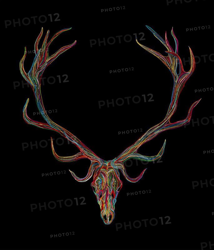 Deer skull graphic in colors