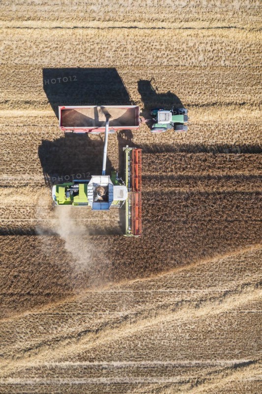 Grain harvest is about to be completed