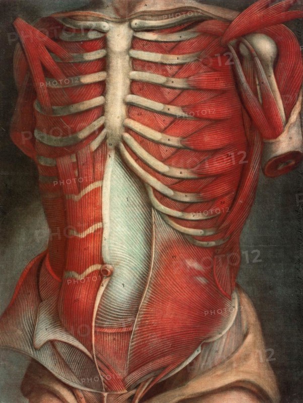Medicine