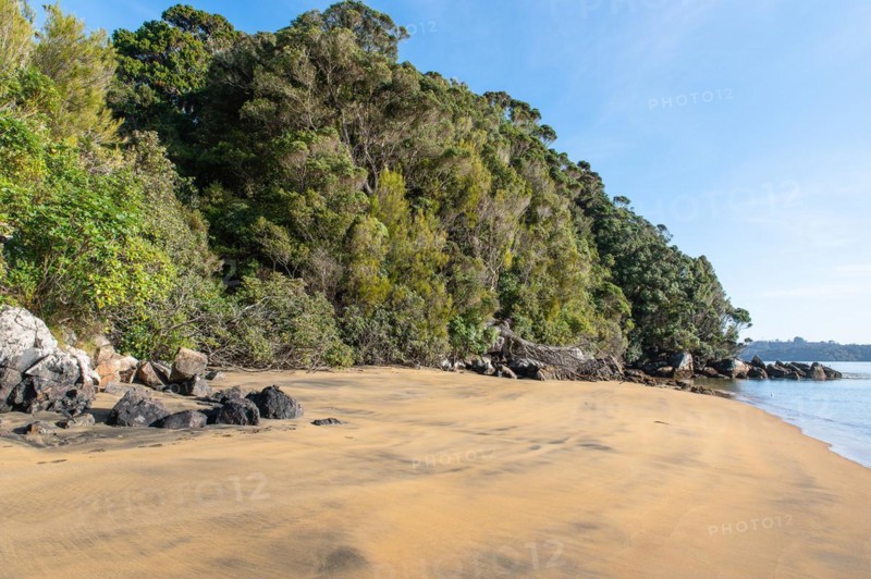 Sydney Cove