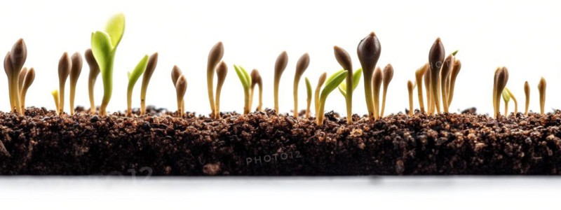 Seamless tileable cross section row of budding sprouts of new growth out of soil on a white background