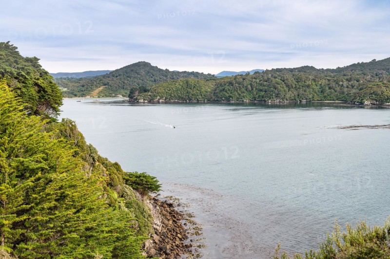 Stewart Island