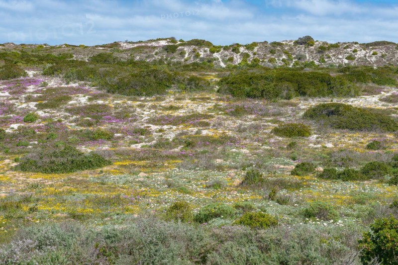West Coast National Park