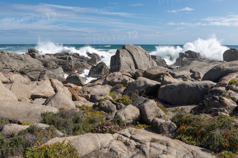 Plankiesbaai