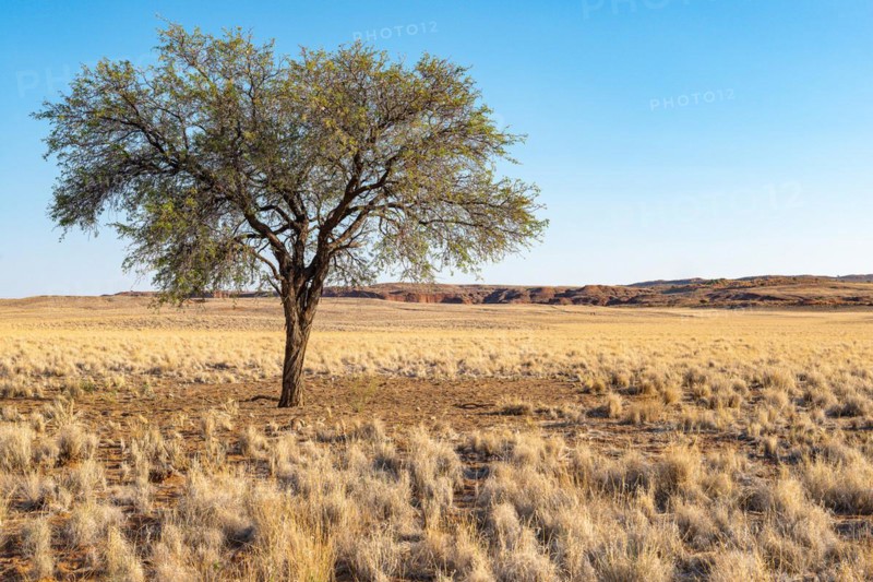 Namib Desert Lodge