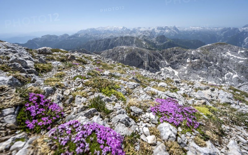 Spring in the mountains