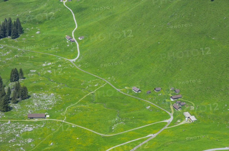 Montane Strukturen und Gehoefte auf der Schwaegalp am Fuss des Saentis