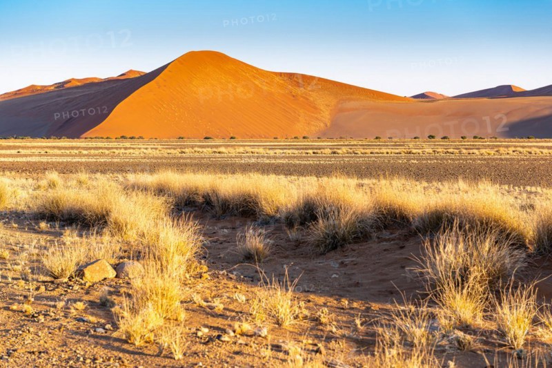 Red Sand Dunes