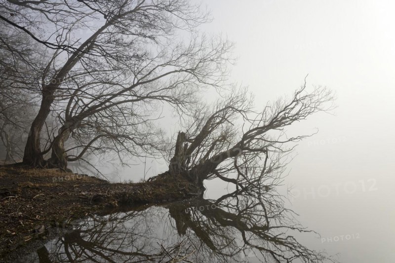 Foggy atmosphere at Lake Moehne
