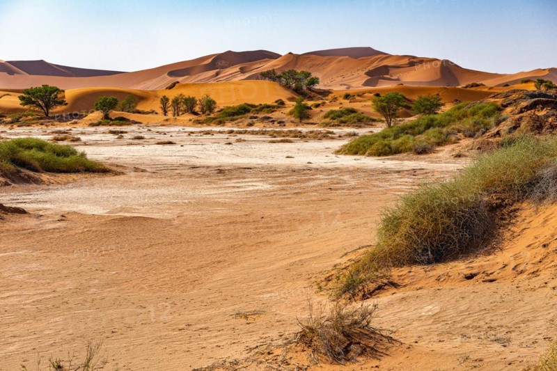 Red Sand Dunes