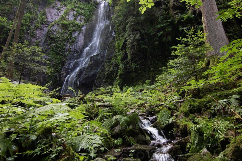 Landscape shot of the Burgbach waterfall