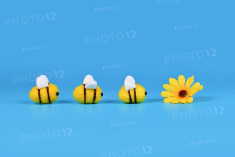 Felt bees in a row crawling towards yellow flower on blue background with copy space