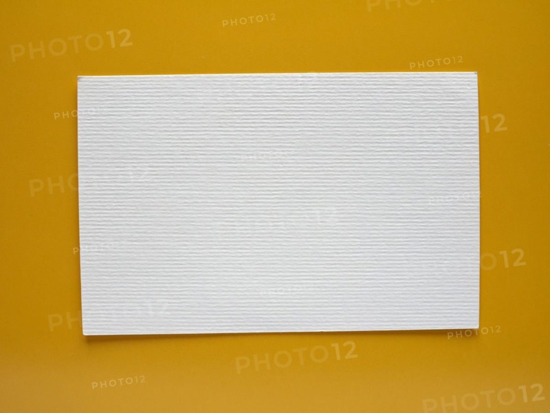 Blank paper tag label