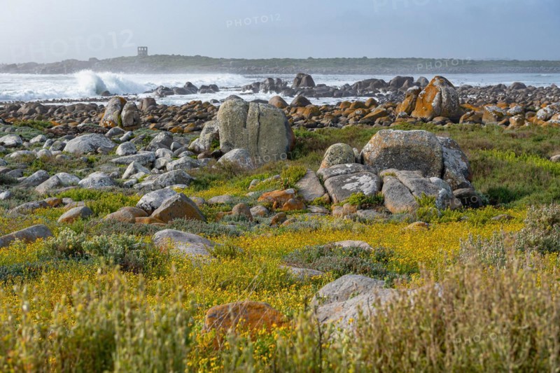 Mauritzbaai