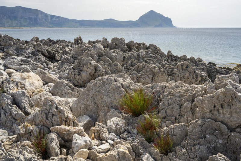 Rocks on the coast