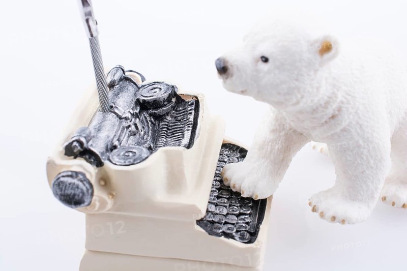 Polar bear cub on the roof of a model house mado of roof