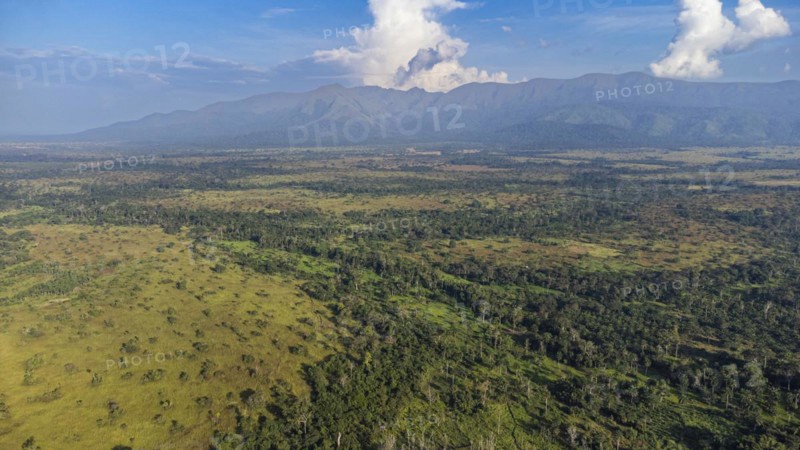 Aerial of the Unesco site Mount Nimba Strict Nature Reserve