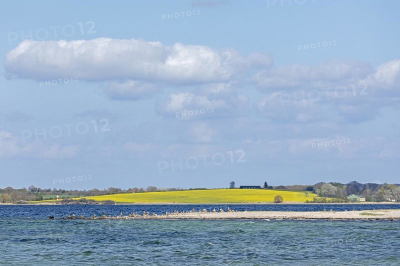 Headland