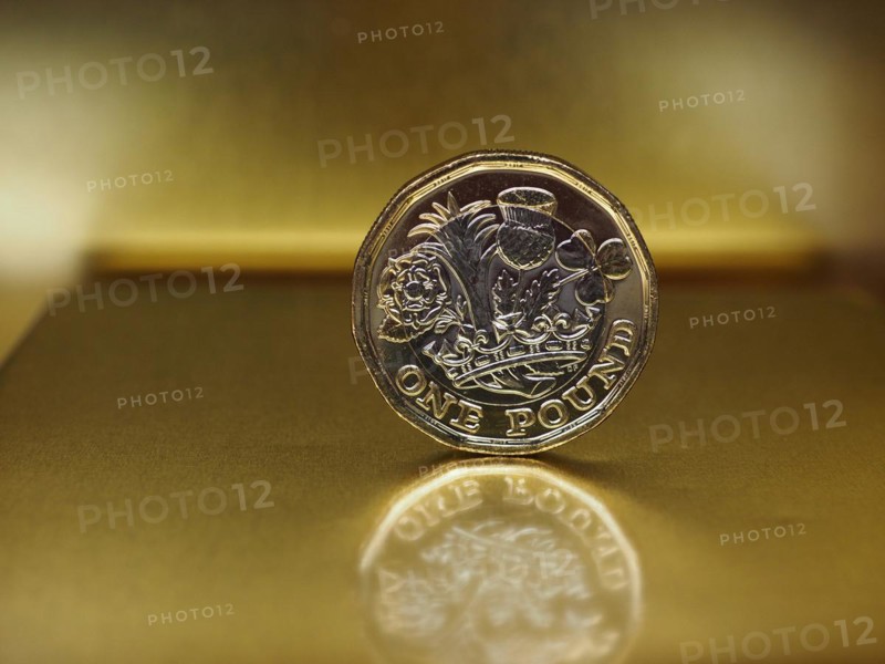 1 pound coin money