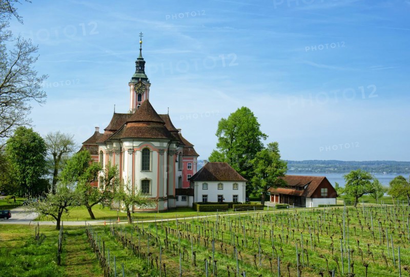 Vineyards