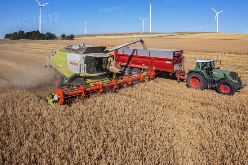 Grain harvest in the Swabian Jura