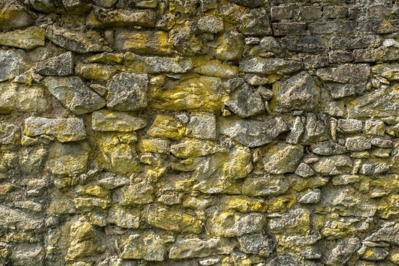 Historic town wall in the Dortelweil district