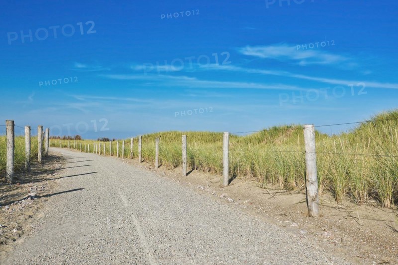 Road surrounded by fence with wooden planks leading through protected landscape on island Texel in the Netherlands