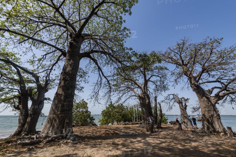 Unesco site Kunta Kinteh or James island