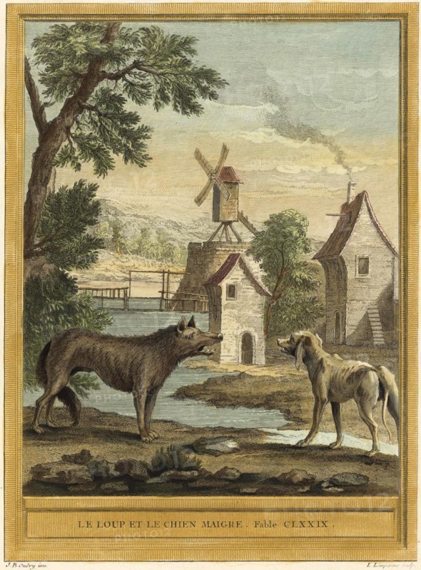 The Wolf and the Thin Dog