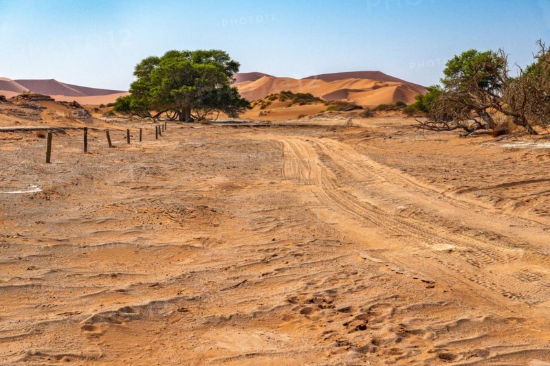 Red Sand Dunes