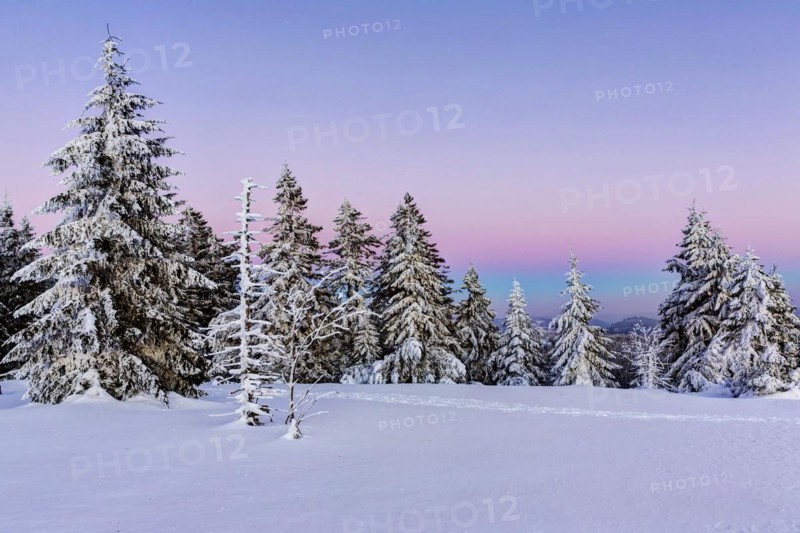 Winter landscape in the Black Forest