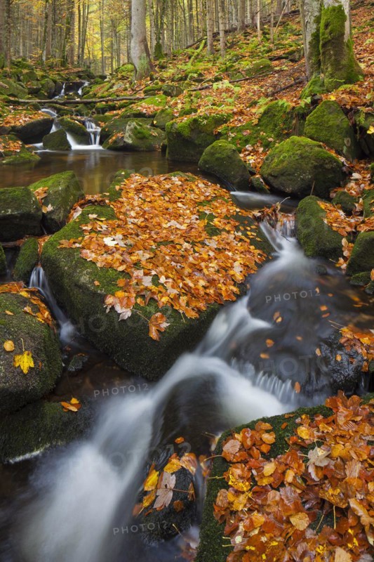 Waterfall on the Kleine Ohe