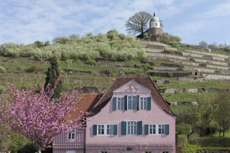 House Fliegenwedel