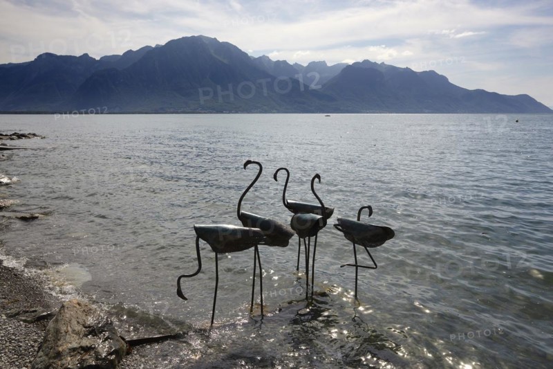 Metal swans