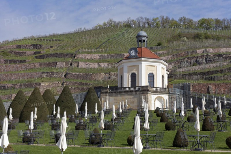 Belvedere Schloss Wackerbarth