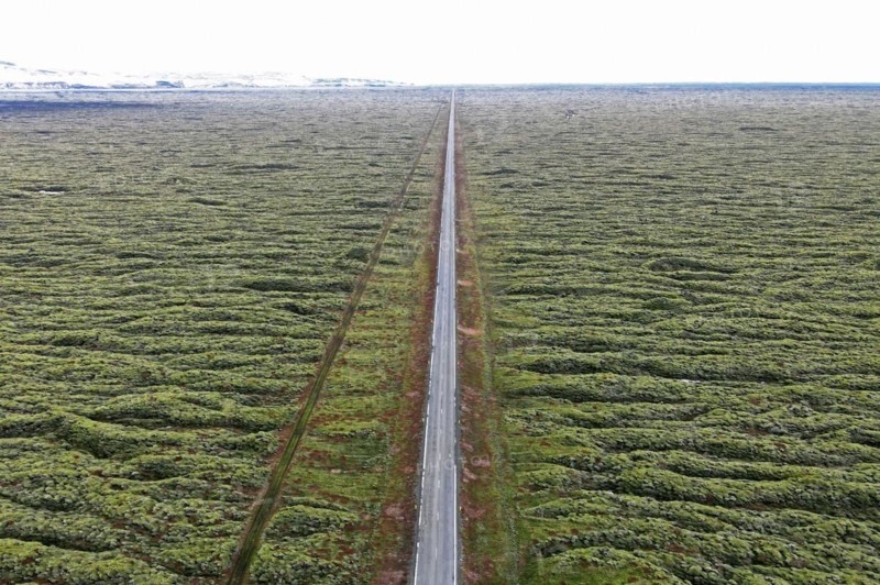 Ring Road 1 through moss-covered lava fields on the south coast of Iceland