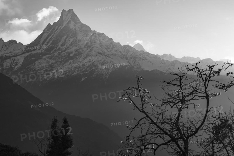 Machapuchare