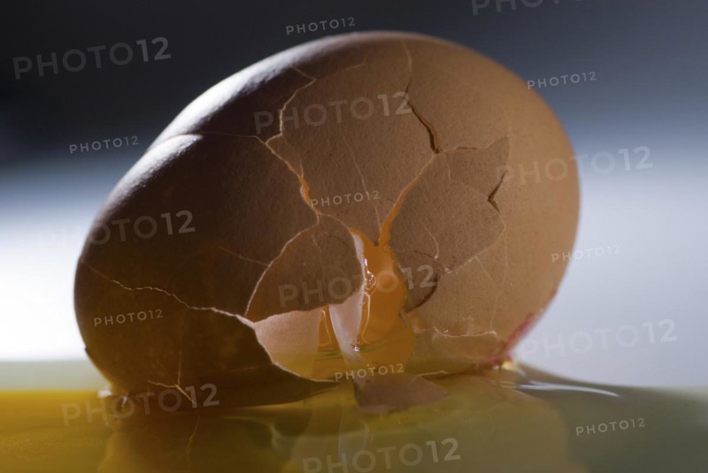 Broken egg with spilled yolk