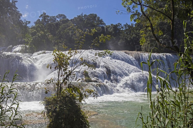 Cascadas de Agua Azul