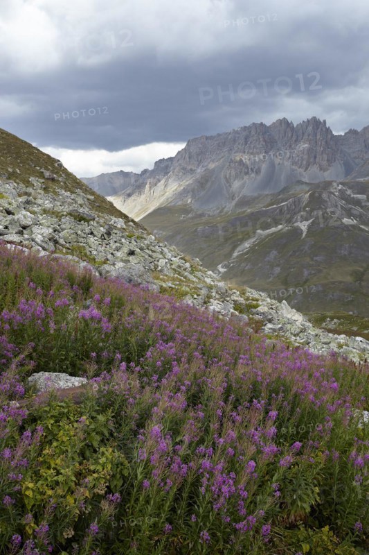 Col du Galibier