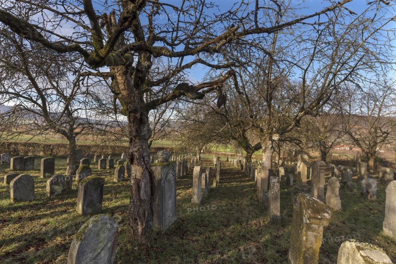 Historic Jewish cemetery