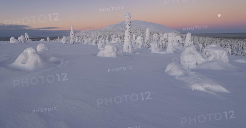 Full moon with day-night boundary and snow-covered trees over Pyhae-Luosto National Park