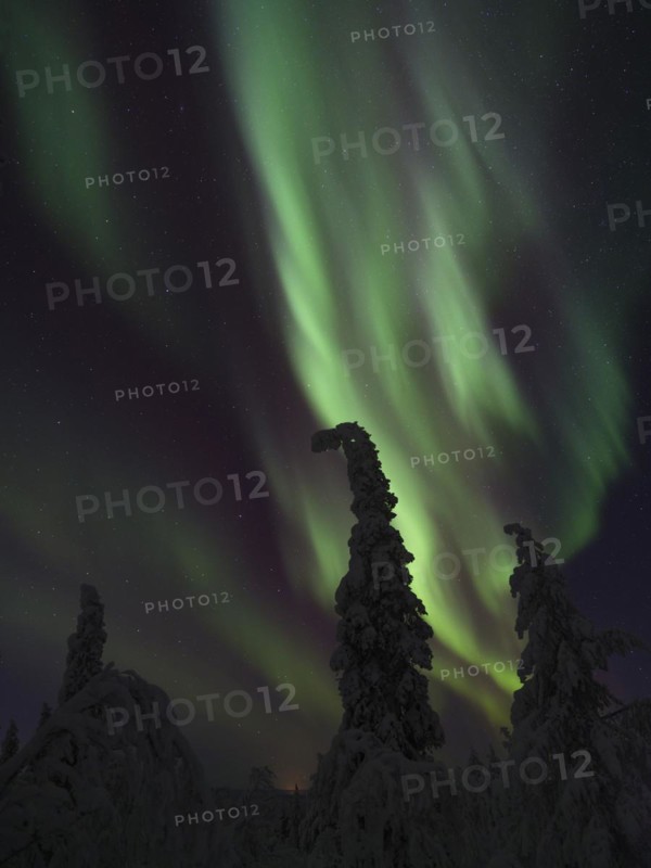 Northern Lights over Pallas-Yllaestunturi National Park