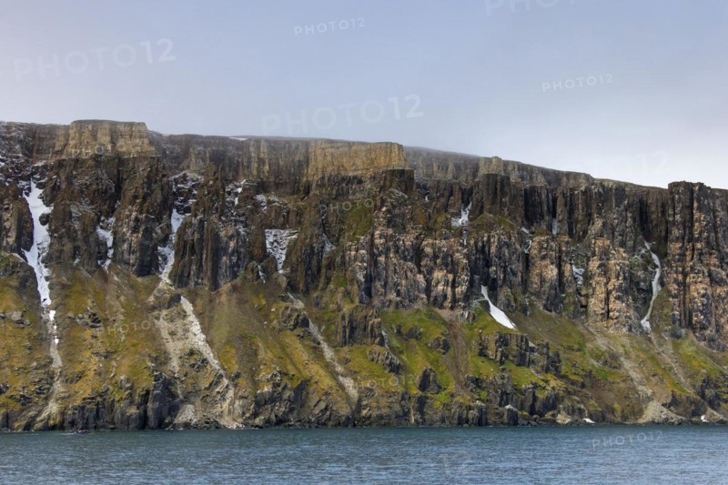 Seabird breeding colony in basalt cliff Alkefjellet