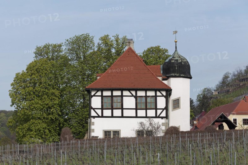 Hofloessnitz Winery