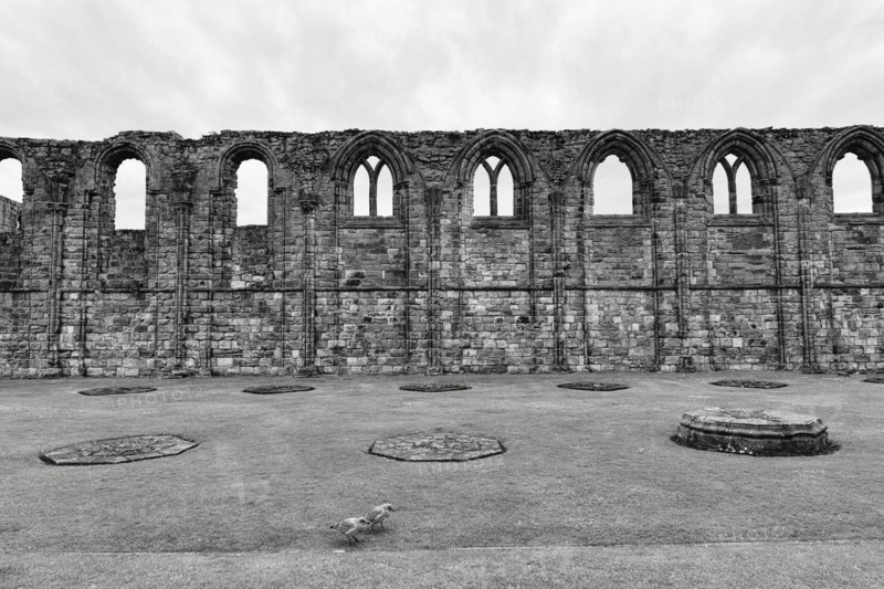 Ruined Cathedral