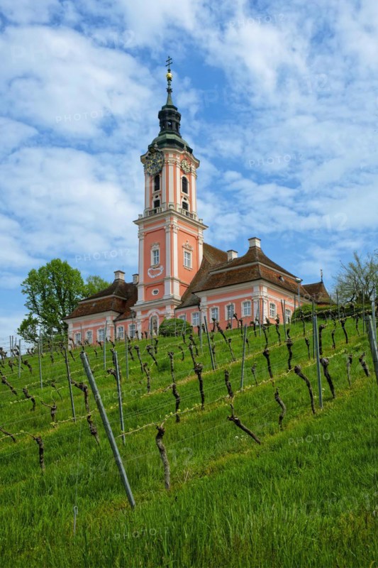 Vineyards